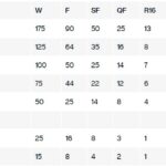 Puntos Challenger e ITF