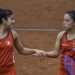 DANA_LU_PER_GS_TAM