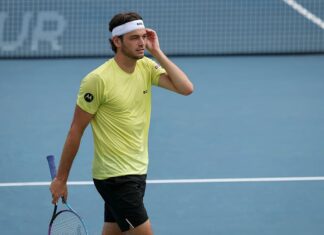FRITZ, MEDVEDEV Y SHELTON AVANZAN A CUARTOS EN WASHINGTON